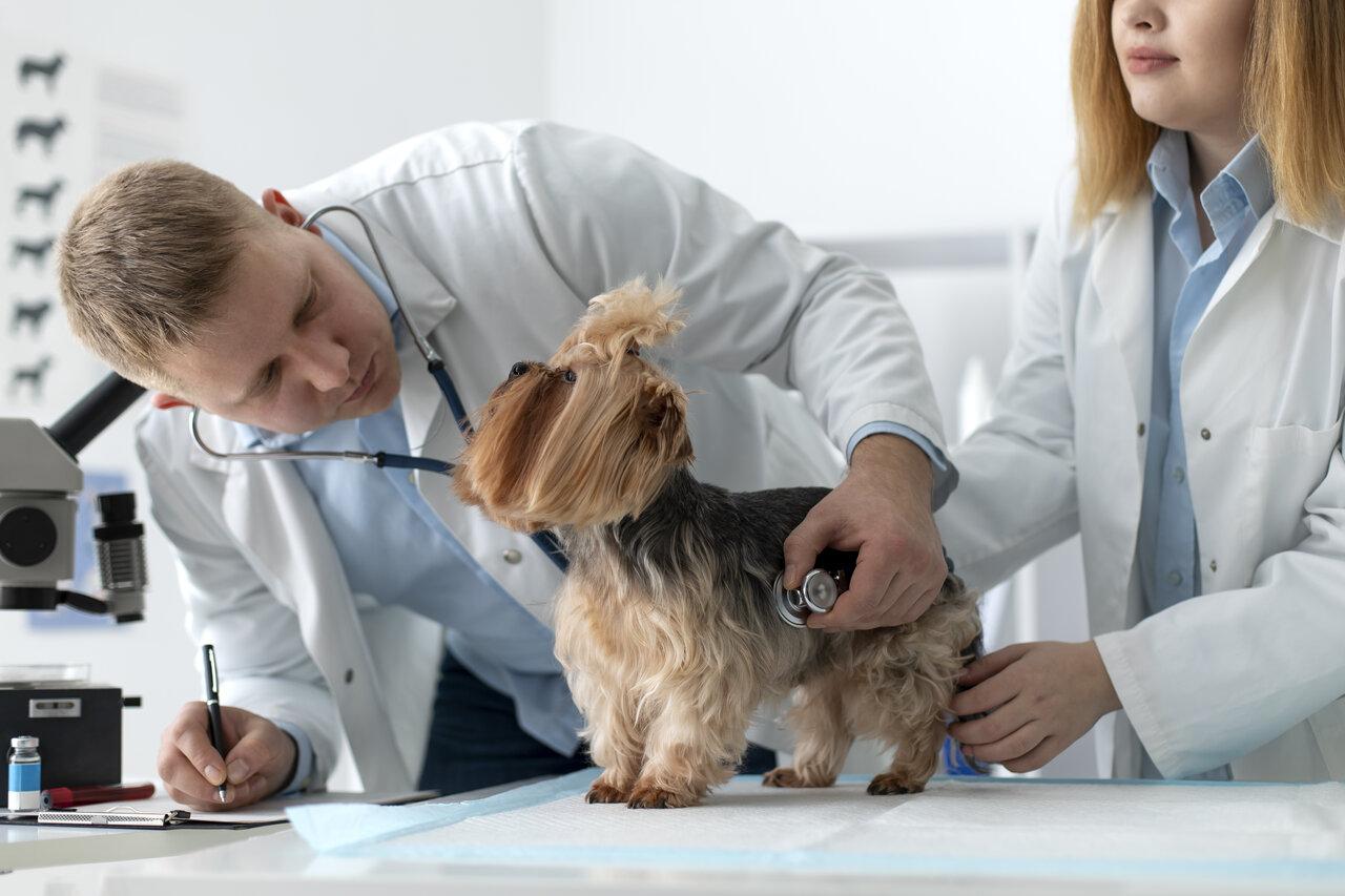 Veterinary Answering Service