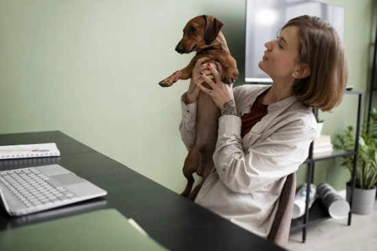 Trained Veterinary Professionals