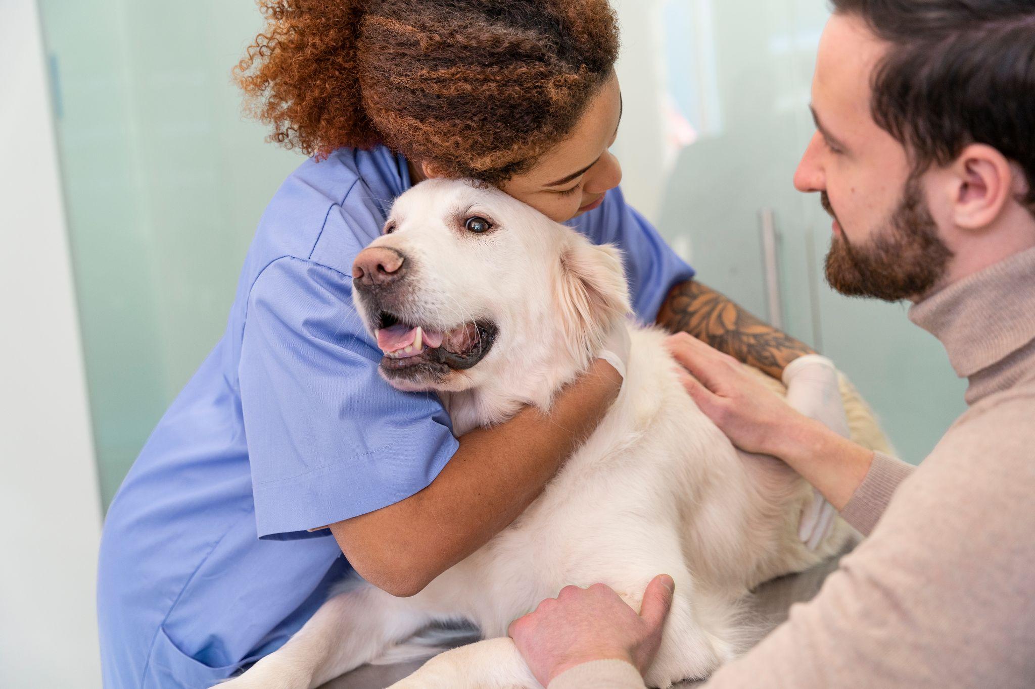 Guardian Veterinary